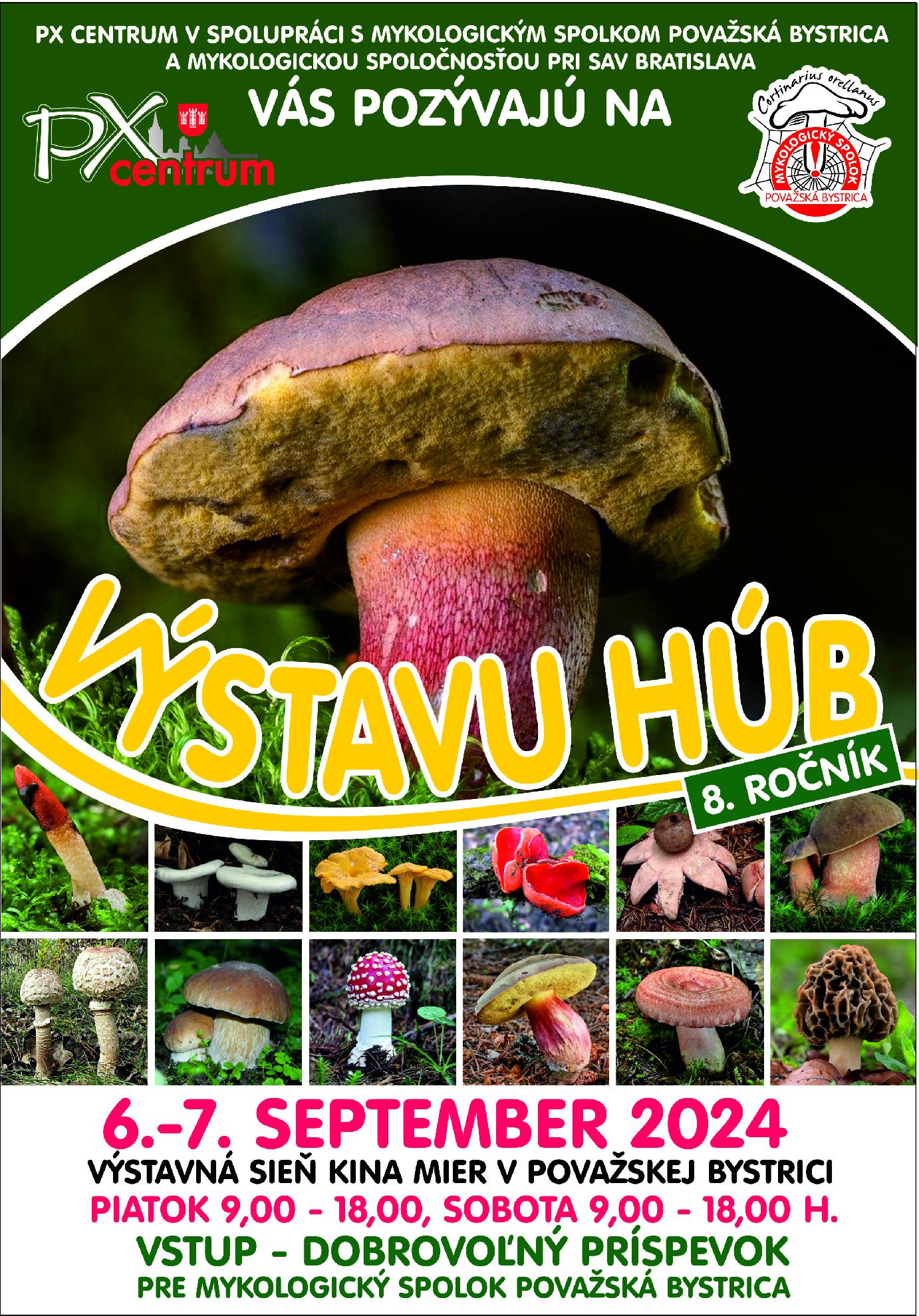 Výstava húb 2024